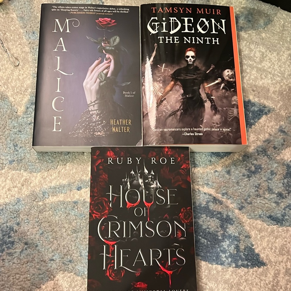 COPY - COPY - QUEER LGBTQIA+ Fantasy Romantasy Books NEW